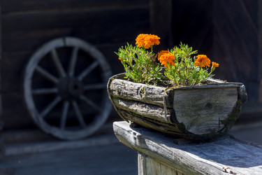 Similar image 12220286