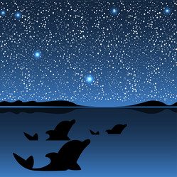 Similar image 12215842