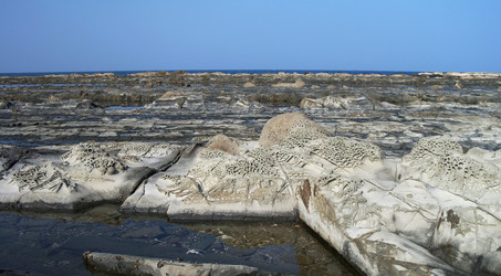 Similar image 12198156