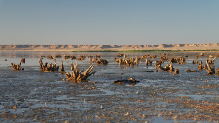 Similar image 12198166