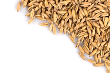 Similar image 12219436