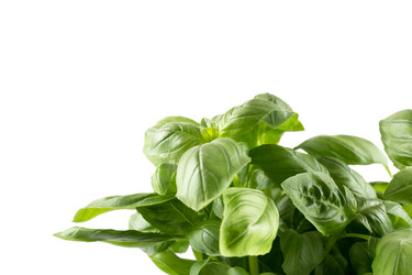 Similar image 12219468