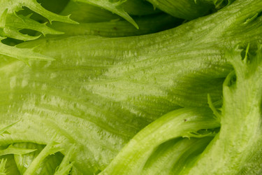 Similar image 12219469