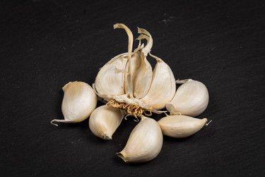 Similar image 12219485