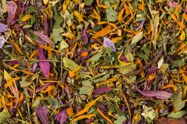 Similar image 12219515