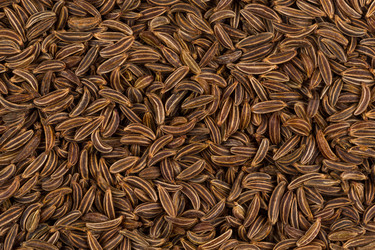 Similar image 12219831