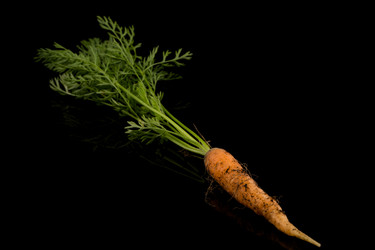 Similar image 12219881