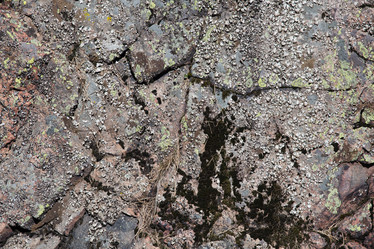 Similar image 12220044