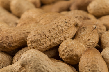 Similar image 12220166