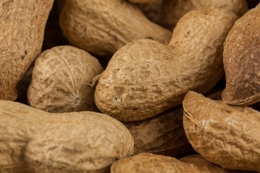 Similar image 12220182