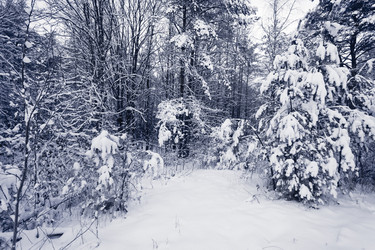 Similar image 12220327