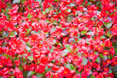 Similar image 12213072