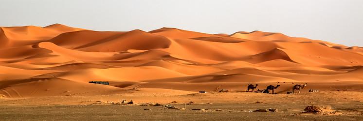 Similar image 12211324