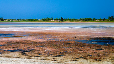 Similar image 12198185