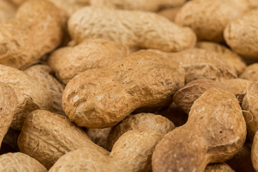 Similar image 12219489