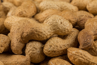 Similar image 12219502