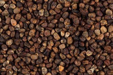 Similar image 12219519