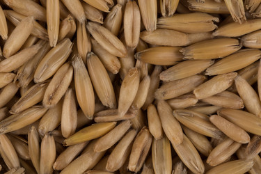 Similar image 12219908