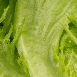 Similar image 12219969