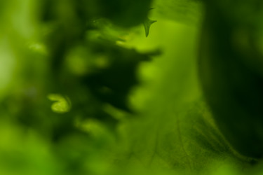 Similar image 12219970