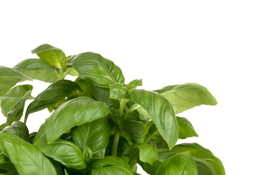 Similar image 12220015