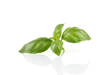 Similar image 12220031