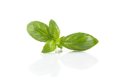 Similar image 12220045