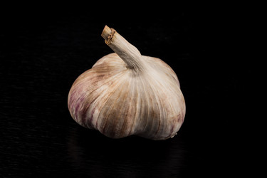 Similar image 12220070