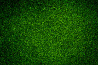 Similar image 12220100