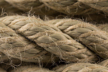 Similar image 12220183