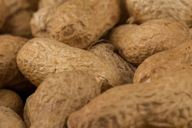 Similar image 12220228