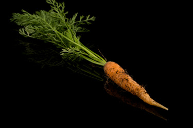 Similar image 12220360