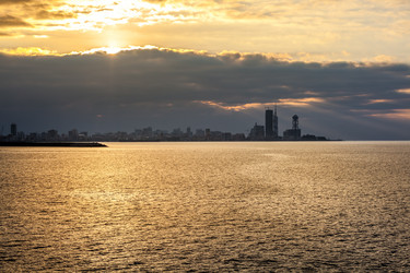 Similar image 12198279