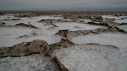 Similar image 12198190