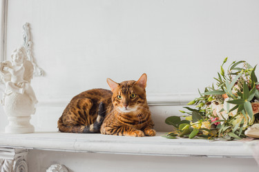 Similar image 12198442