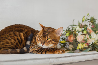 Similar image 12198443