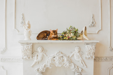 Similar image 12198444