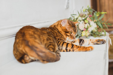 Similar image 12198445