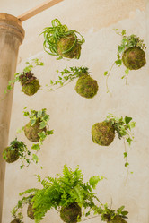 Similar image 12198462