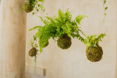 Similar image 12198463