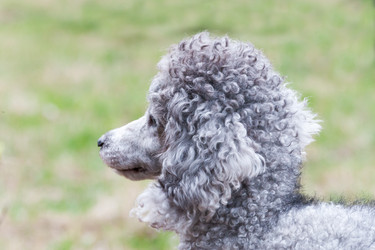 Similar image 12197066