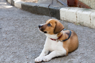 Similar image 12197070