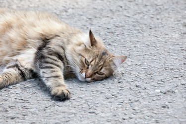 Similar image 12197071