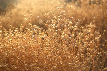 Similar image 12201717