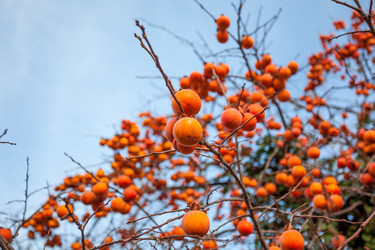 Similar image 12198288