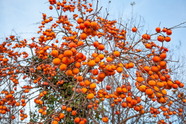 Similar image 12198298