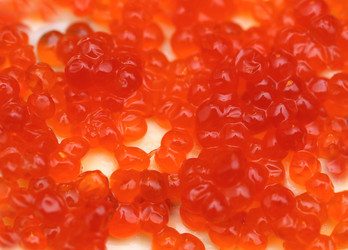 Similar image 12201567