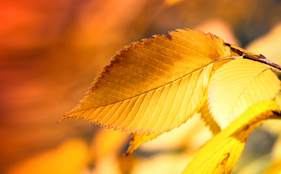 Similar image 12201568