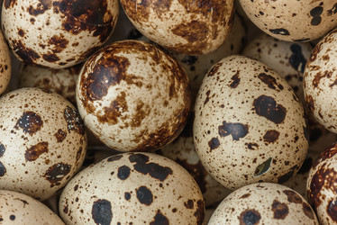 Similar image 12198593