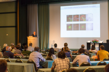 Similar image 12217191